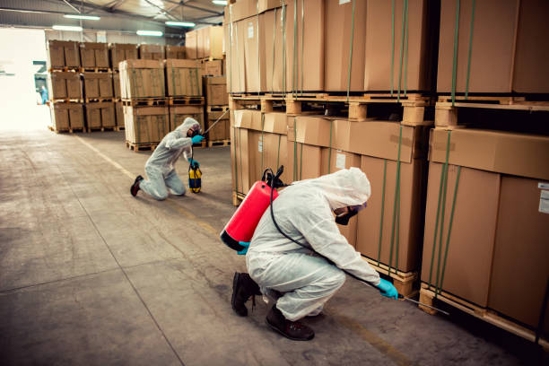 Best Affordable Pest Control Services  in New Bern, NC