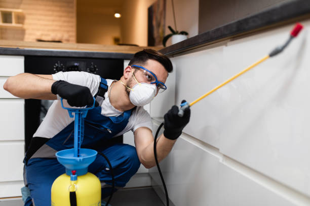 Best Termite Control Services  in New Bern, NC