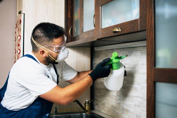  New Bern, NC Pest Control Pros