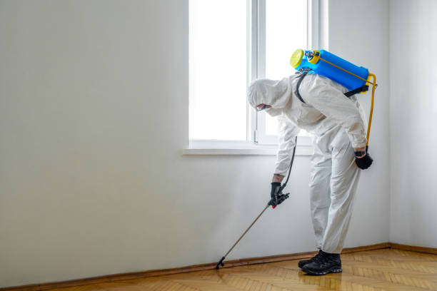 Best Commercial Pest Control Services  in New Bern, NC
