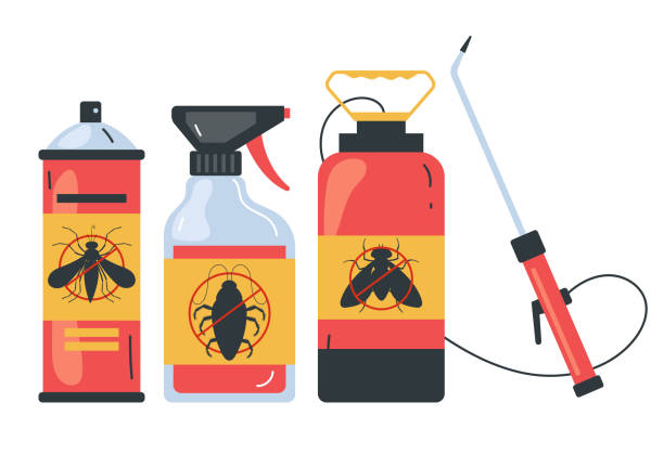 Best Spider Control Near Me  in New Bern, NC