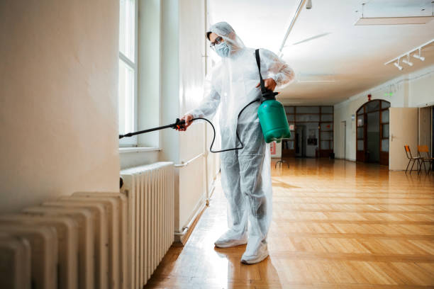 Best Rat Extermination Near Me  in New Bern, NC