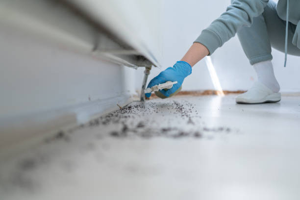 Professional Pest Control in New Bern, NC