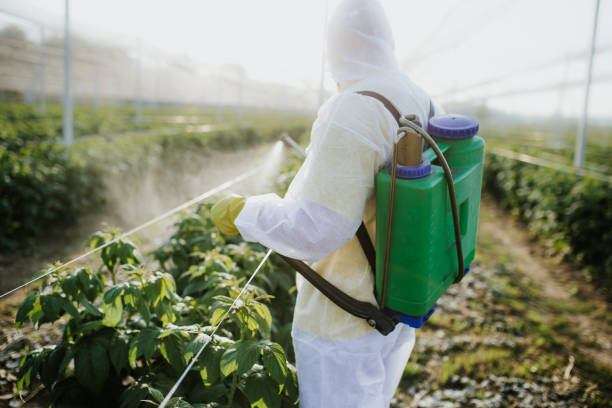 Best Pest Control for Homes  in New Bern, NC
